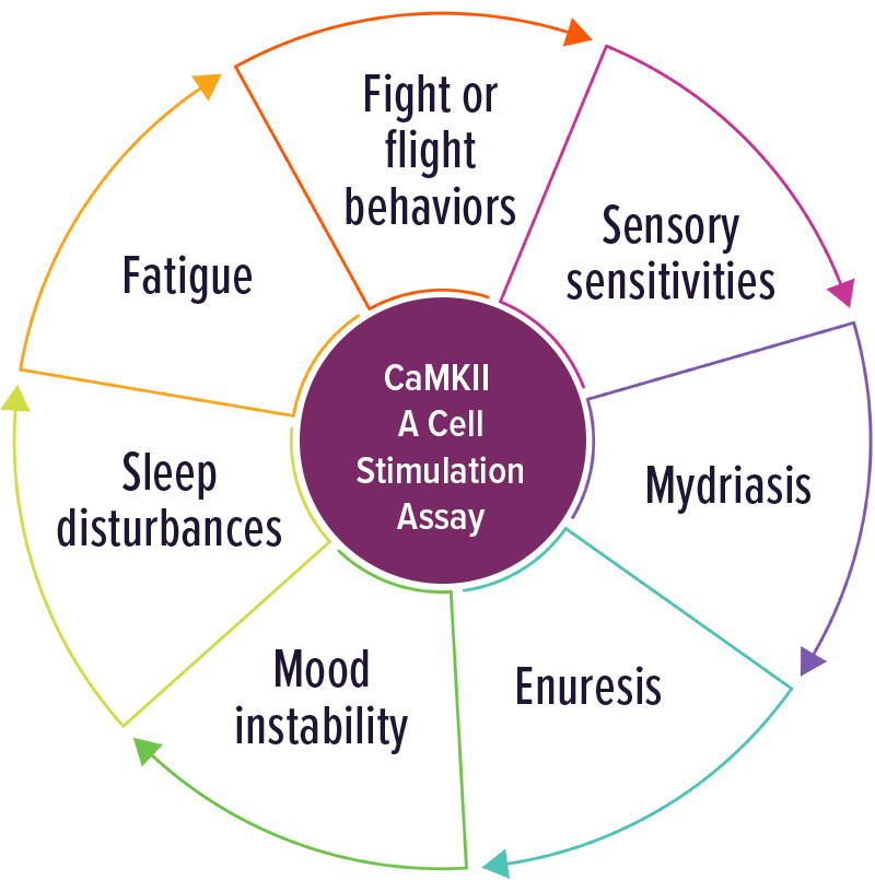 CaMKII – A Cell Stimulation Assay