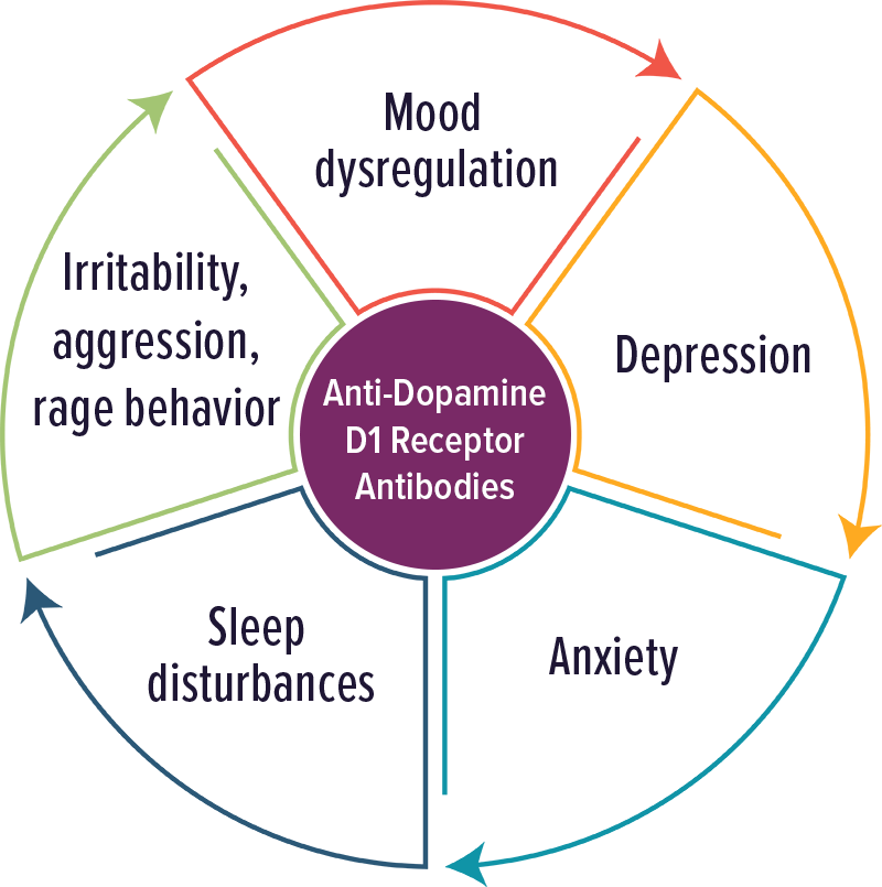 Anti-Dopamine D1 Receptor Antibodies